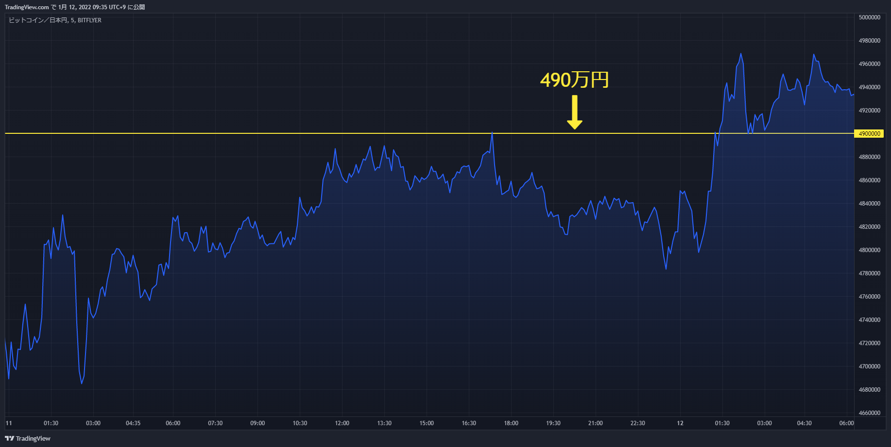 btc chart 20220111