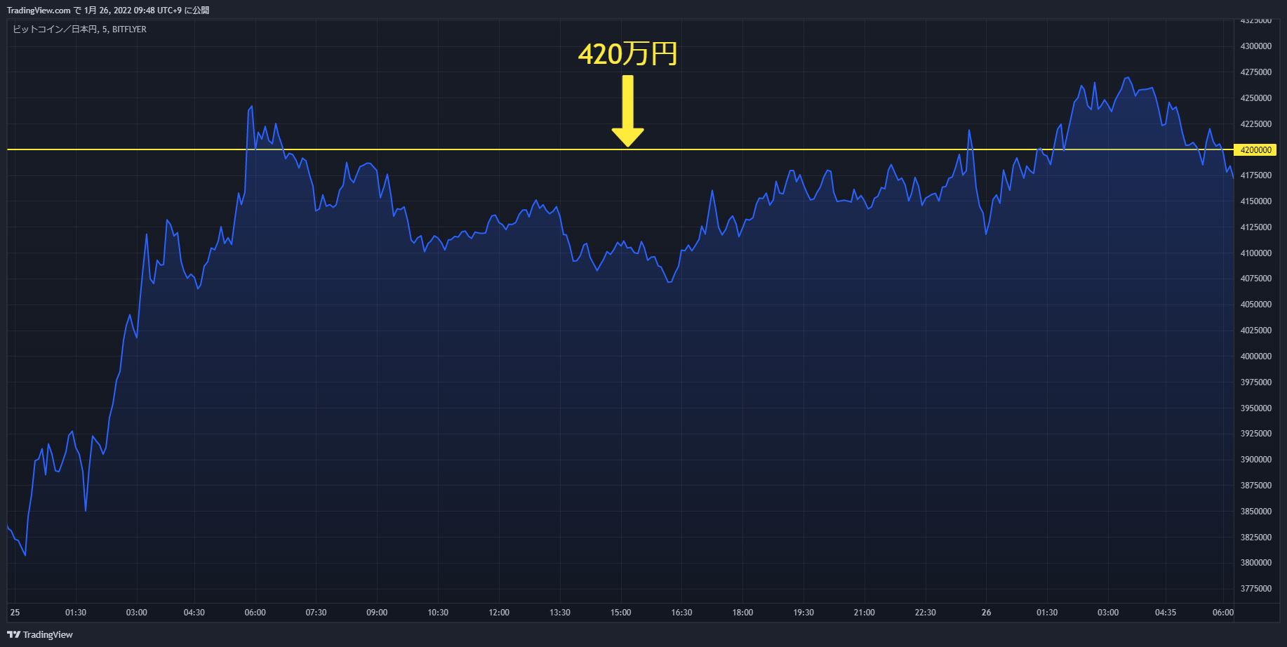 btc chart 20220125