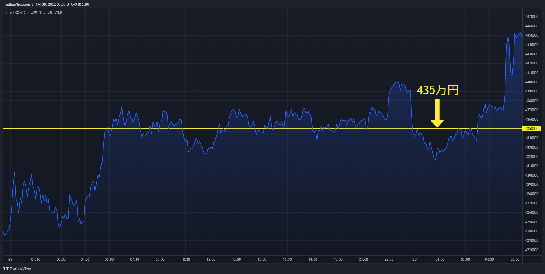 btc chart 20220129