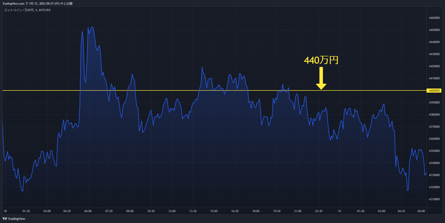 btc chart 20220130