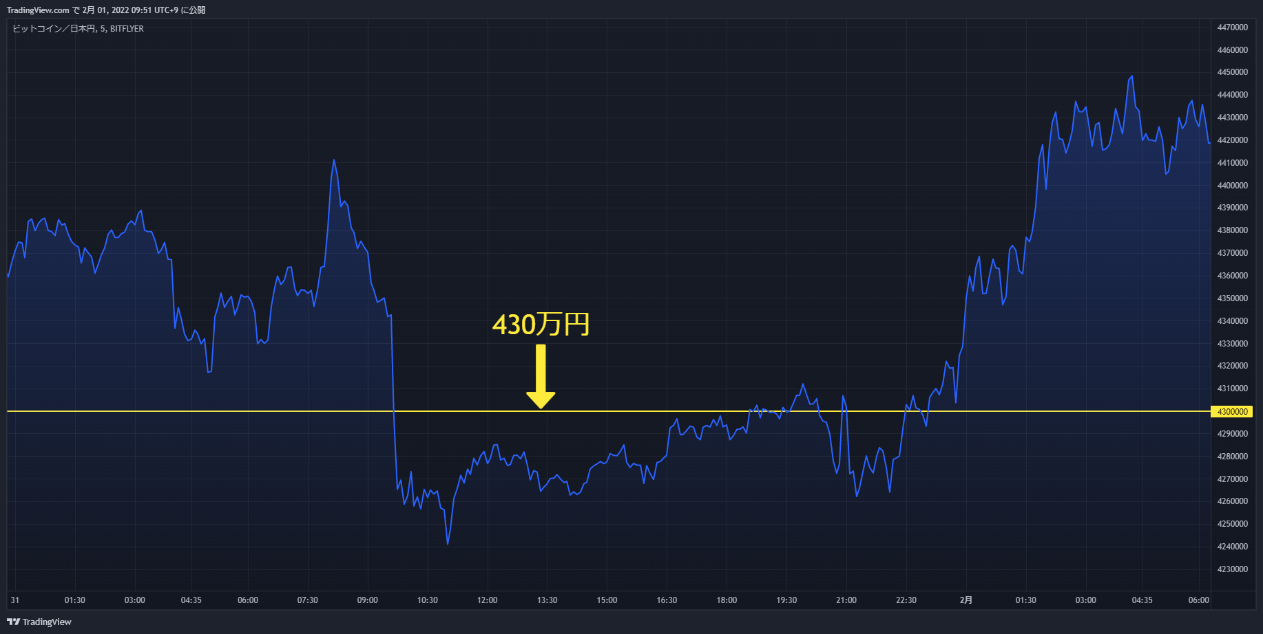 btc chart 20220131