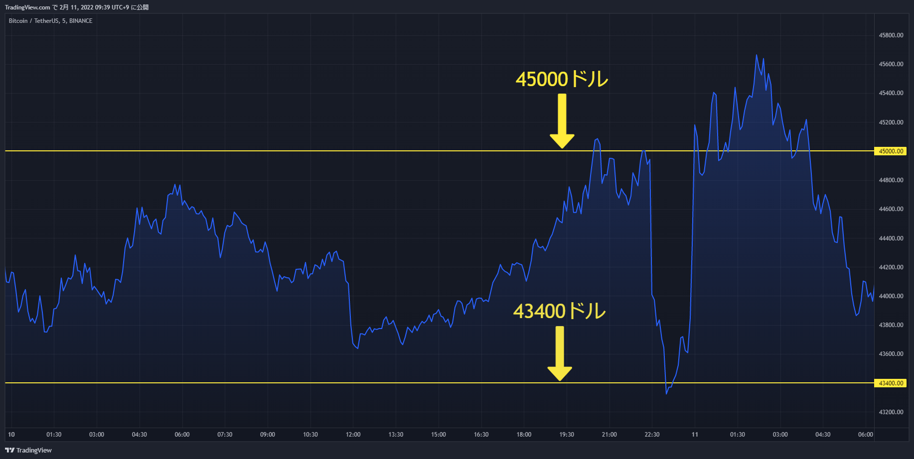 btc chart 20220210