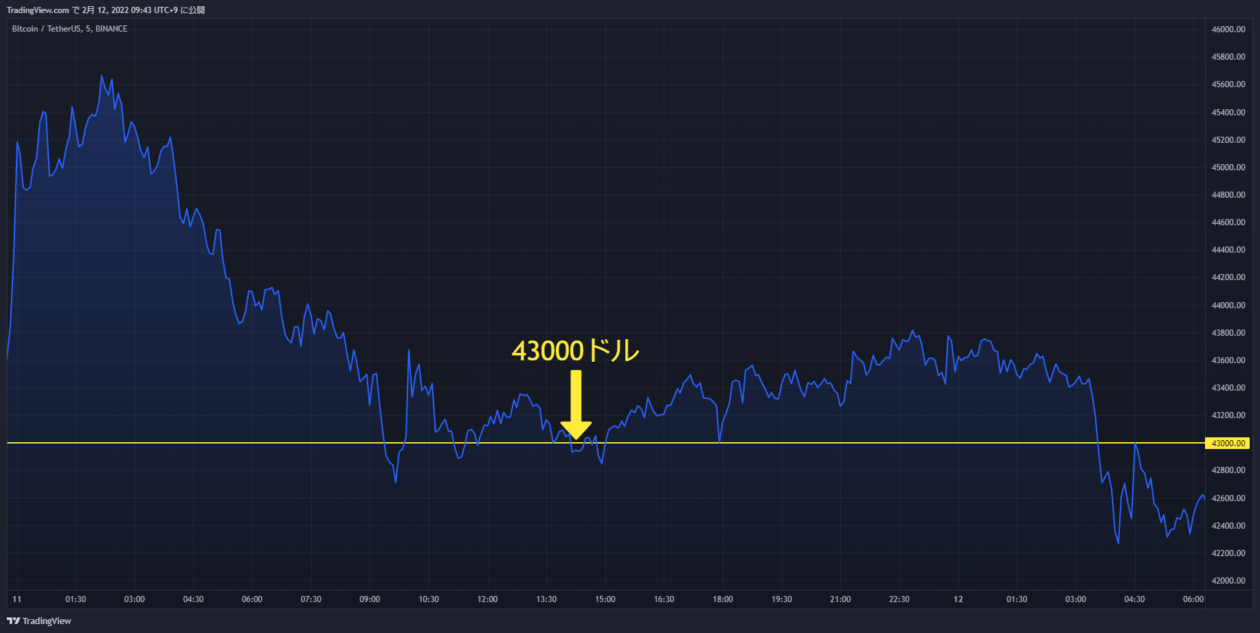 btc chart 20220211